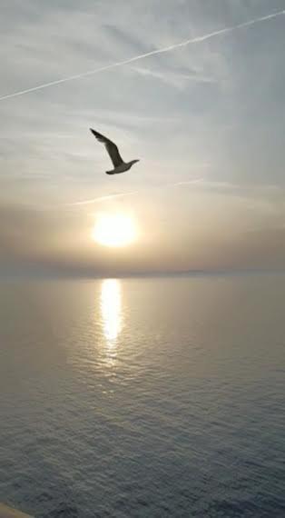 Armareaoverseassuites 1 Fiumicino Kültér fotó